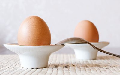 Here’s What You Need to Know about Cage-Free and Free-Range Eggs